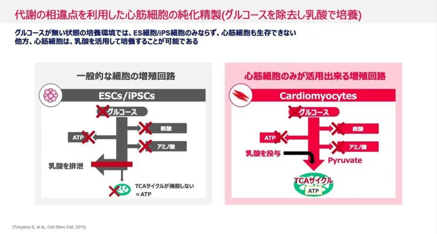 大学発ベンチャーの先端技術～心筋再生医療イノベーション（Heartseed株式会社）